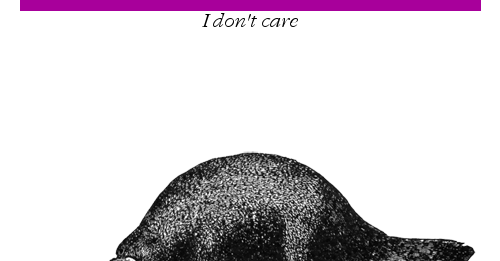 Testy jednostkowe w C# a metody prywatne – jak to ugryźć?