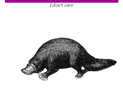 Testy jednostkowe w C# a metody prywatne – jak to ugryźć?